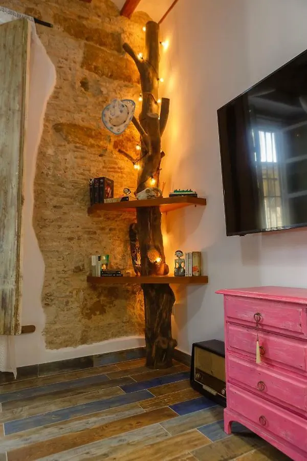 Noah House City Center - Historic Center Cadiz Spain