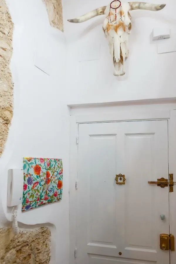 Noah House City Center - Historic Center Cadiz Apartment